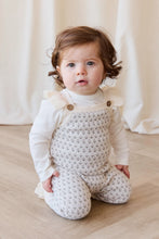 Load image into Gallery viewer, Savannah Jacquard Onepiece - Sheer Pink
