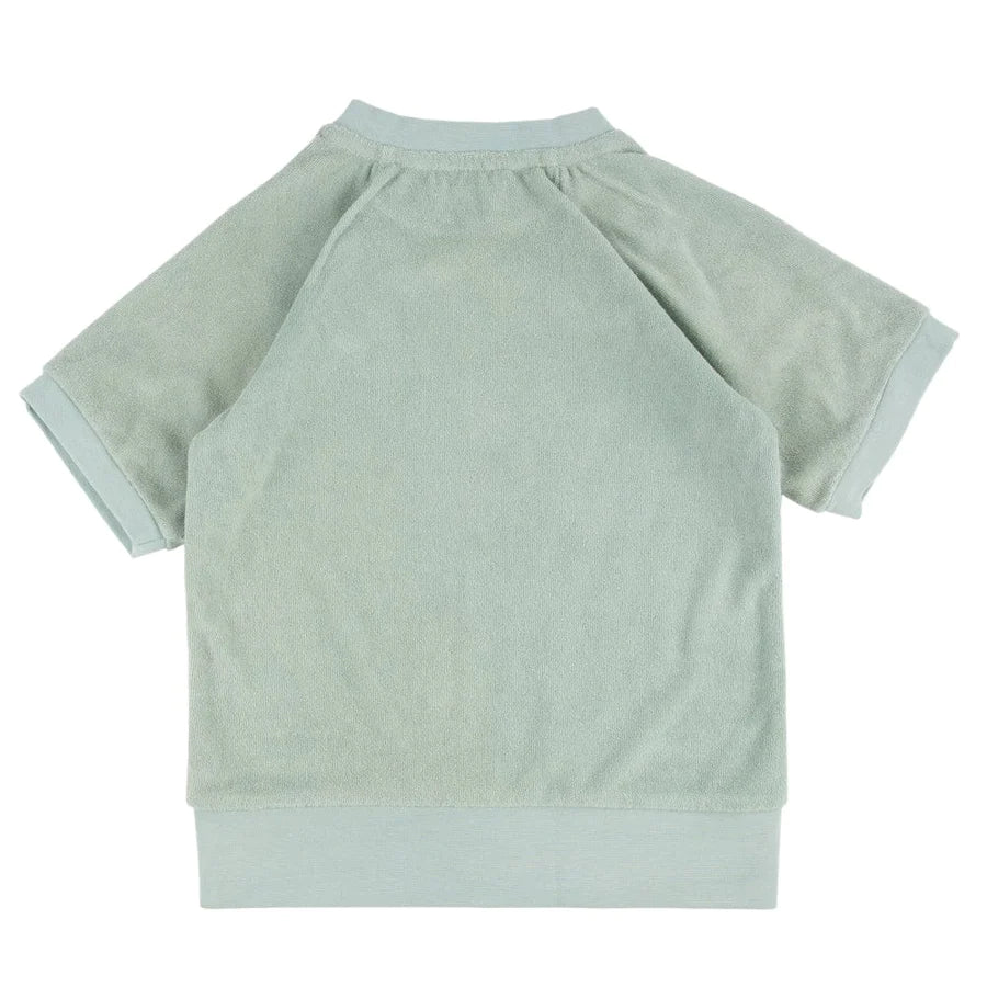 Iggy Top - Strawberry Fields