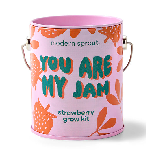 Colors Grow Kits - Strawberry
