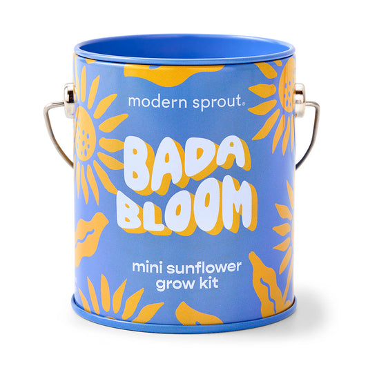 Complimentary Colors Grow Kits - Sunflower