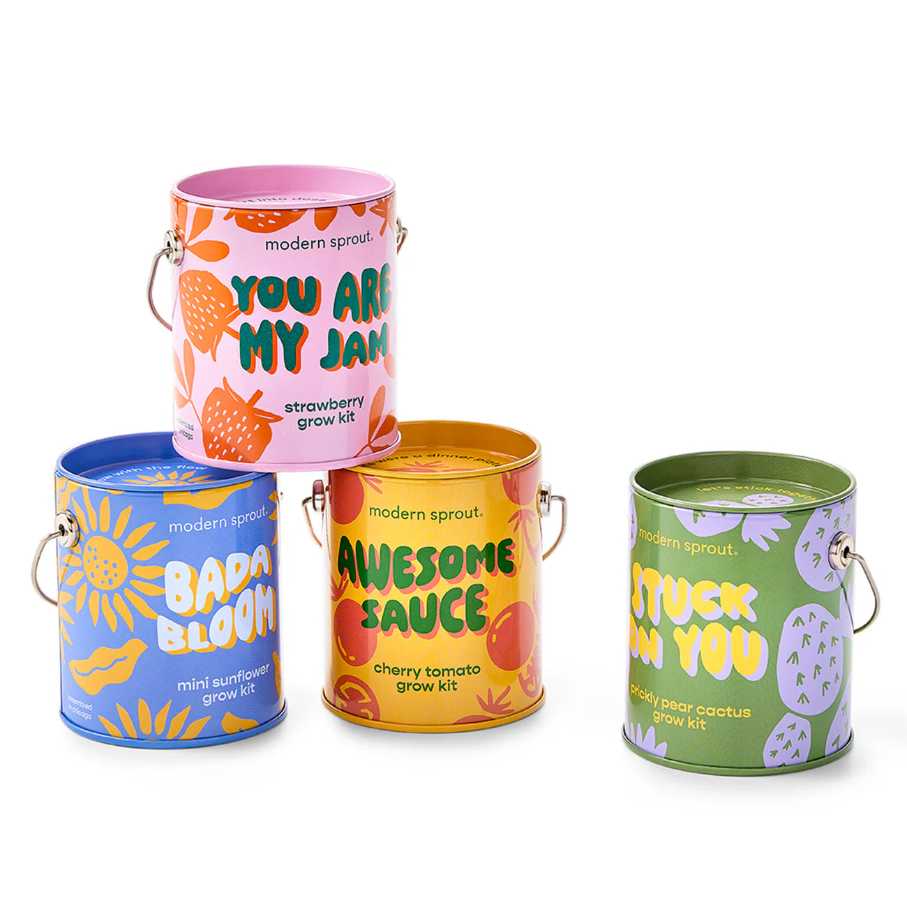 Colors Grow Kits - Strawberry