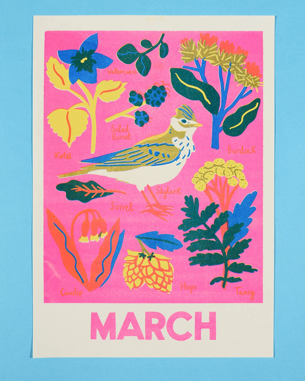 March Forage Print