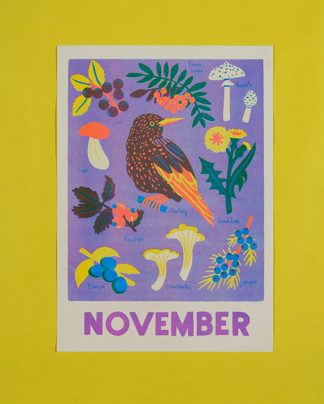 November Forage Print