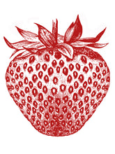 Load image into Gallery viewer, Pia Pullover - Strawberry
