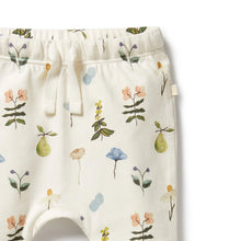 Load image into Gallery viewer, Petit Garden Organic Legging
