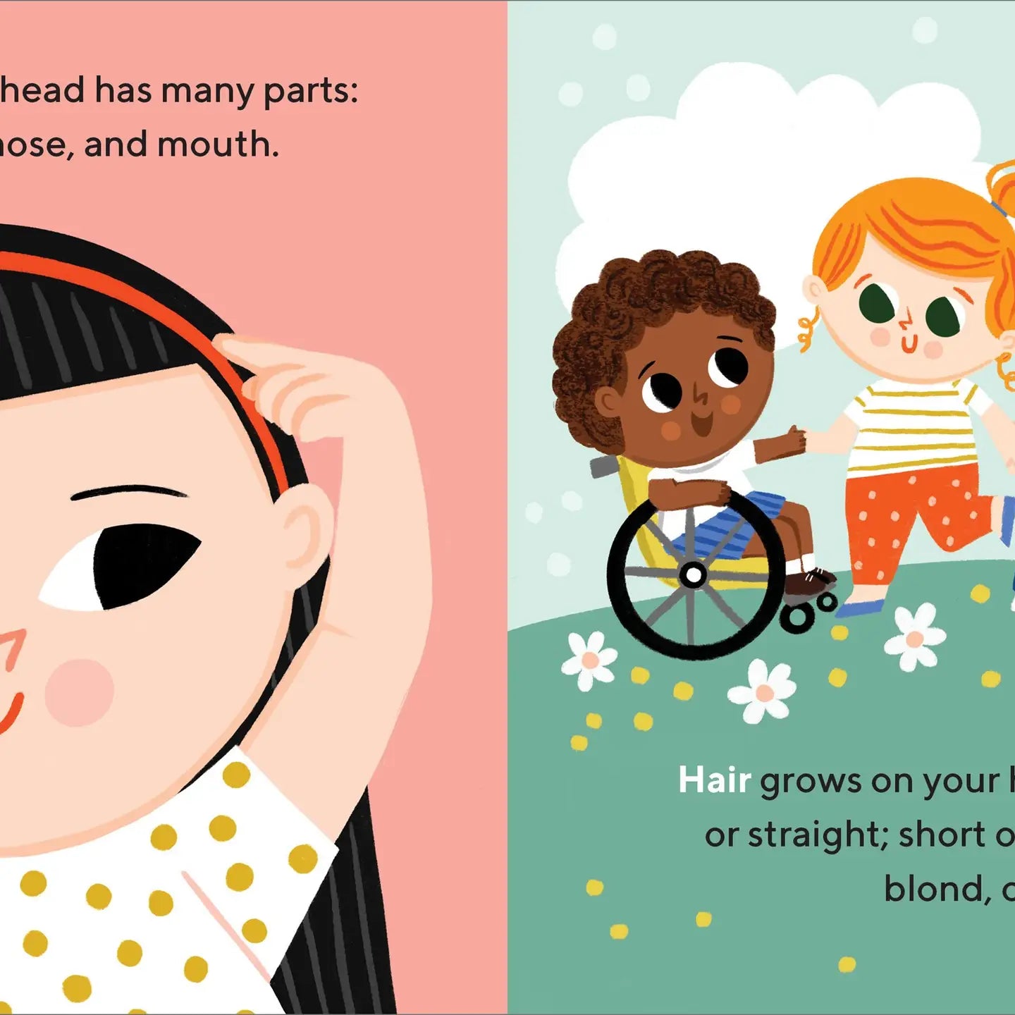 Eyes, Nose, Belly, Toes Board Book