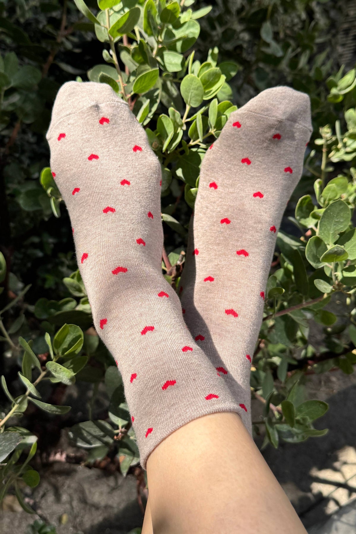 Heart Sneaker Socks - Several Colors