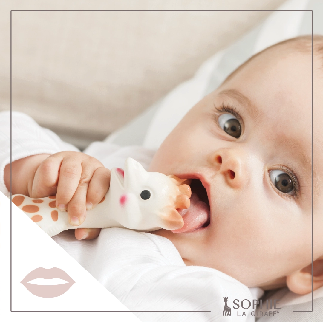 Sophie the Giraffe Baby Teether - Natural Rubber Teething Toy
