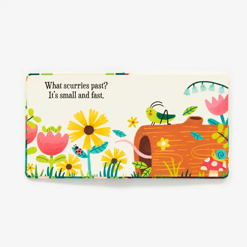 Squeak-A-Boo!: A Board Book