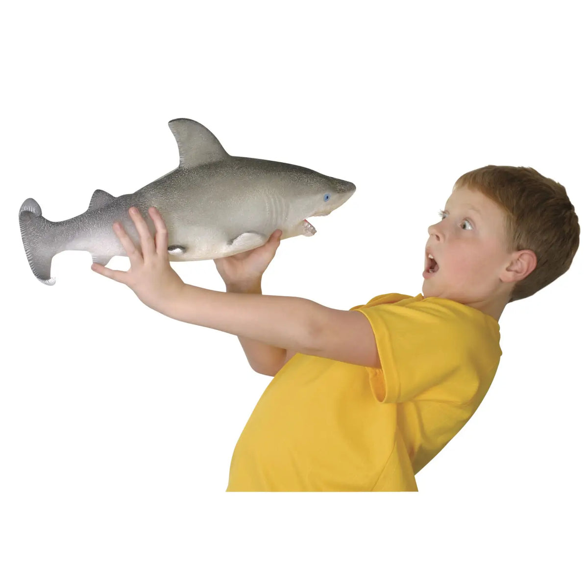 Ginormous Grow Shark, Assorted Colors