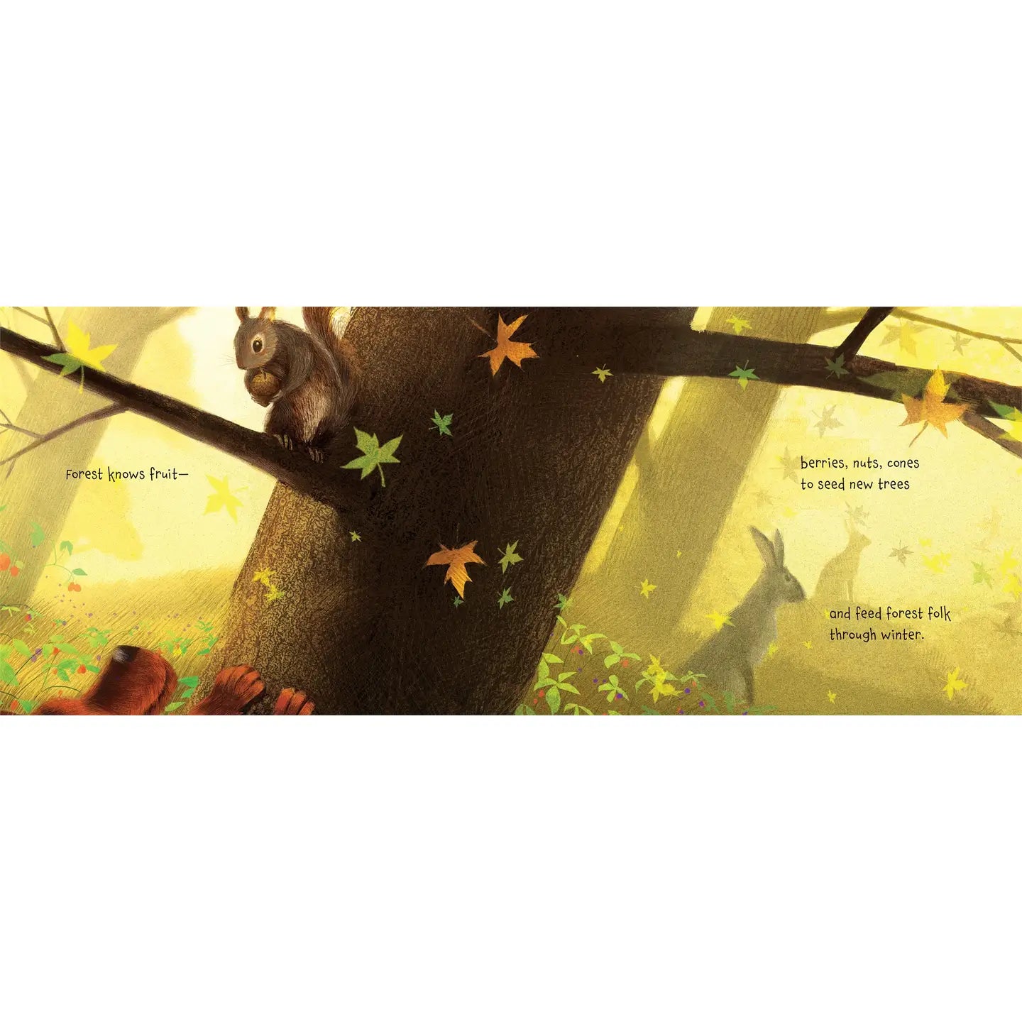 What Forest Knows By George Ella Lyon