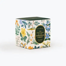 Load image into Gallery viewer, High Peaks of the Adirondack Forest Candle
