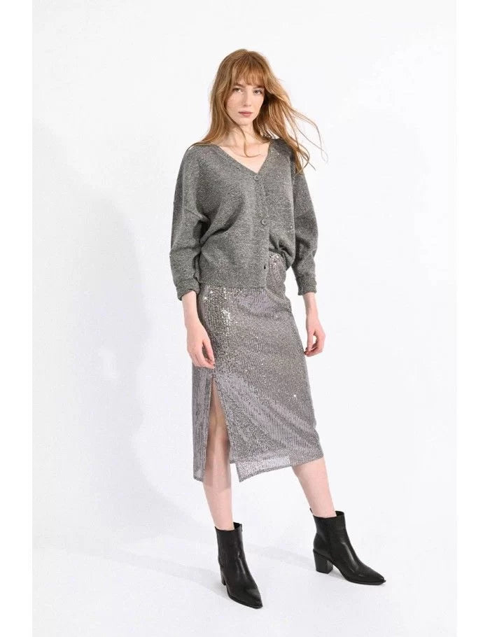 Sequined Skirt