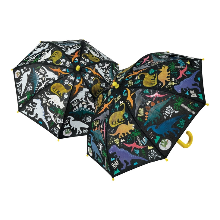 Color Changing Umbrellas (several styles)