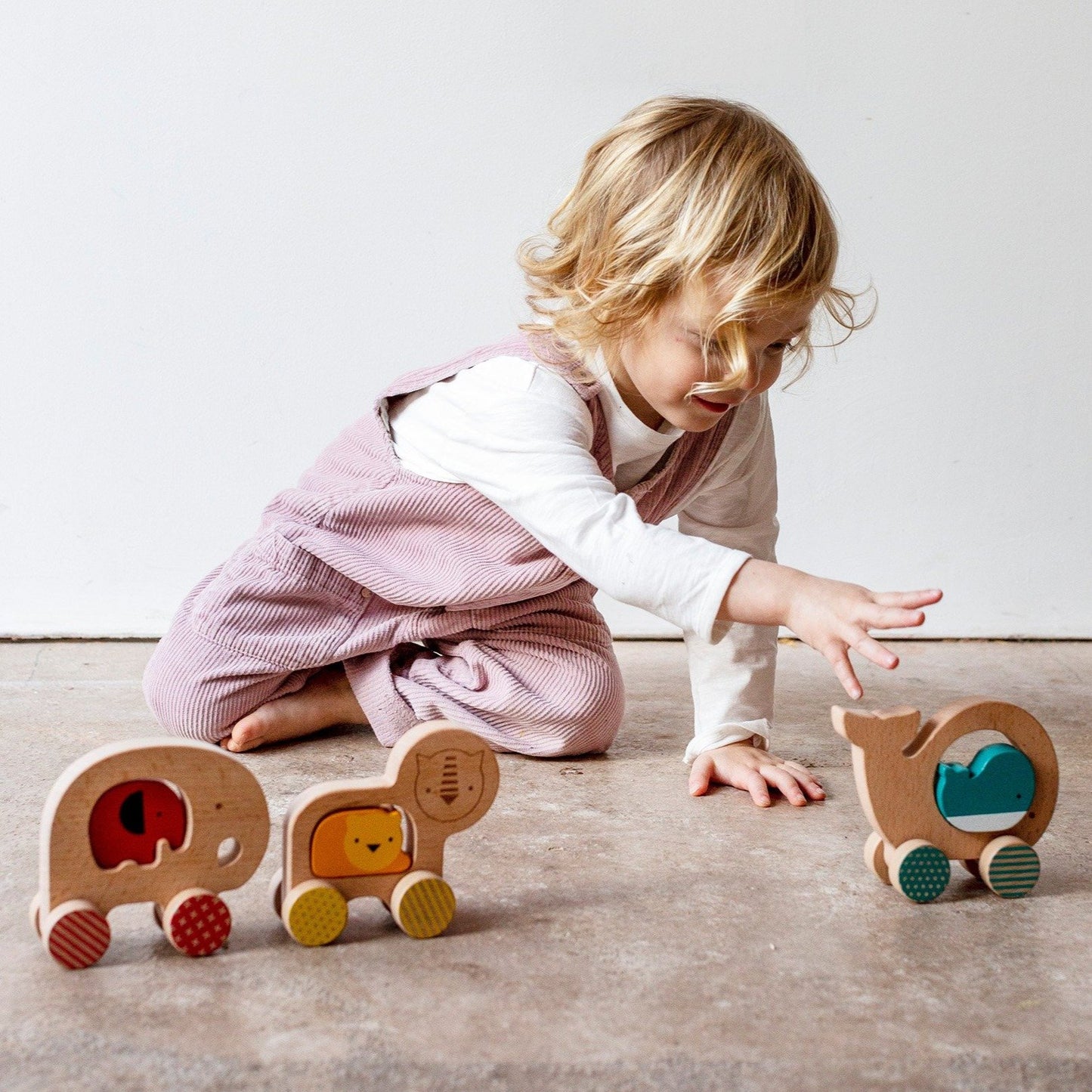 Wooden Push Along Lion Toy