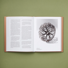 Load image into Gallery viewer, Everything She Touched - The Life of Ruth Asawa
