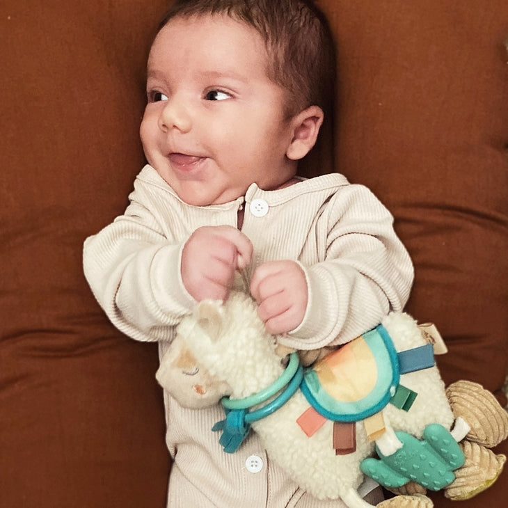 Itzy Friends Link & Love™ Activity Plush with Teether Toy - Llama