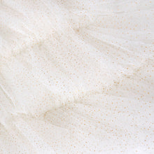 Load image into Gallery viewer, Tulle Angel Wings Costume
